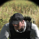 Image for article titled Security Breach Turns DayZ's Servers into a Giant Botnet